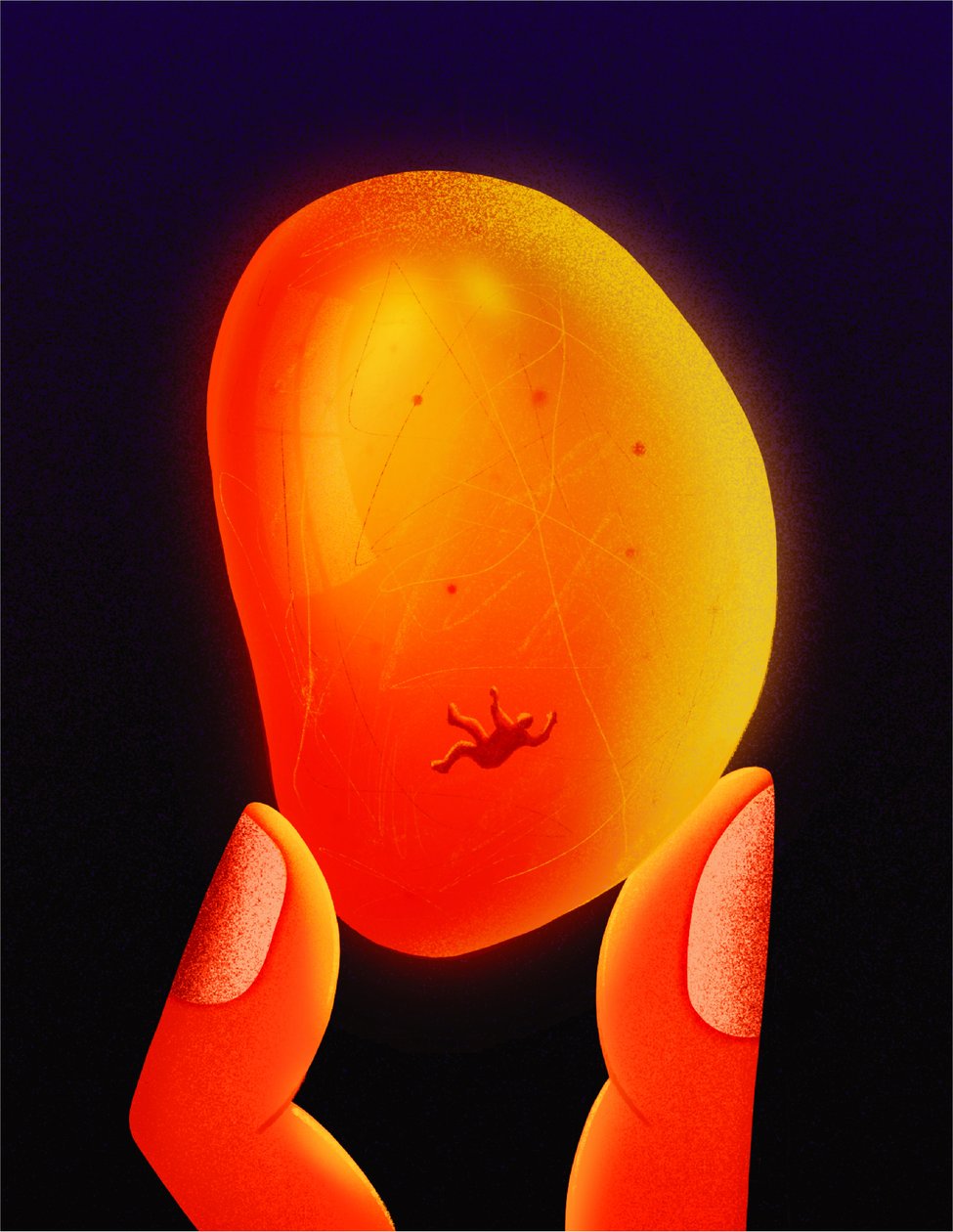  de Carlo Alberto Giardina