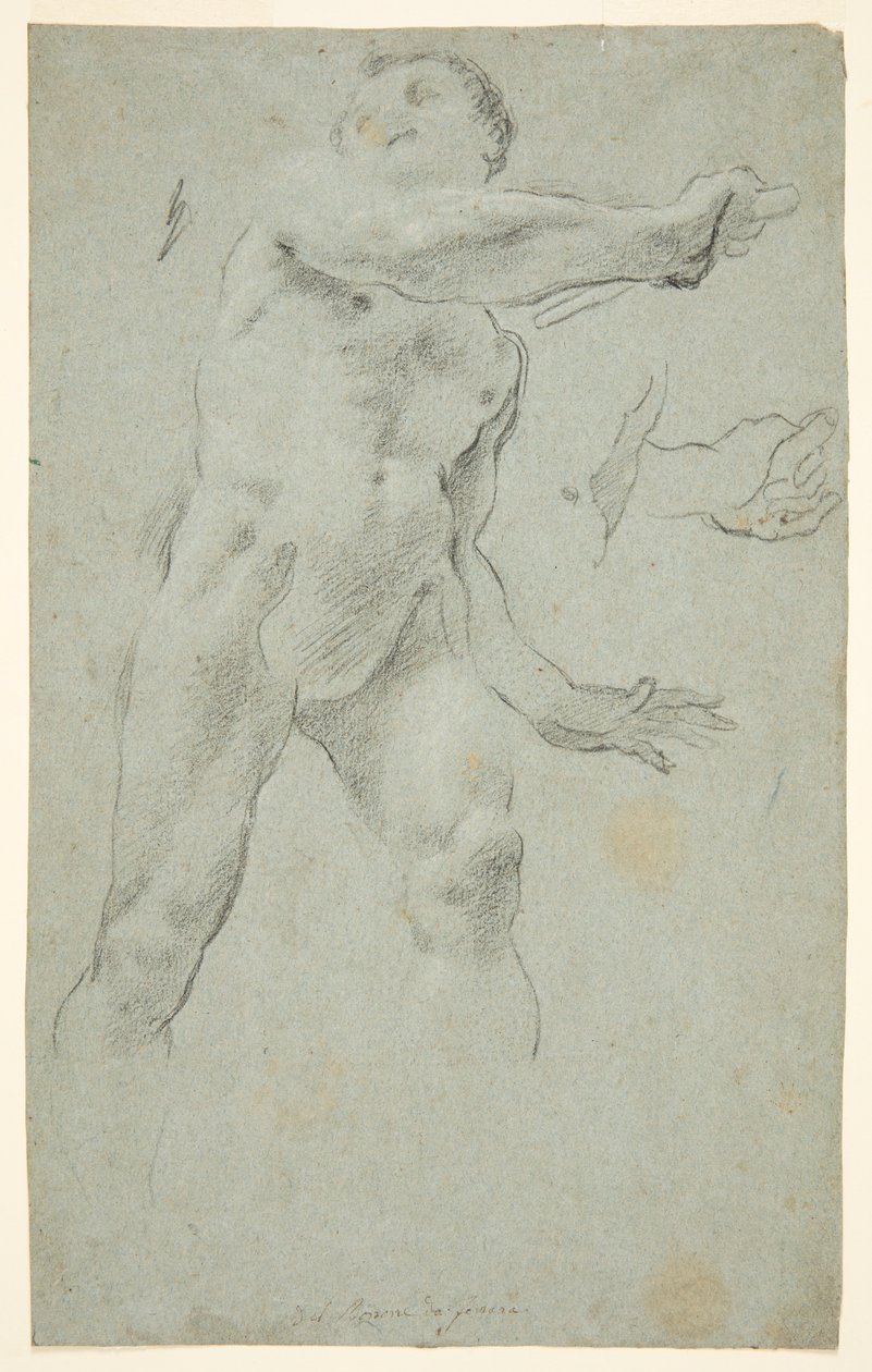 Desnudo Masculino de Carlo Bononi