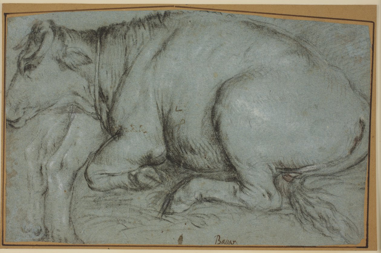 Vaca recostada y estudio de las patas traseras de una vaca de pie de Carlo Caliari
