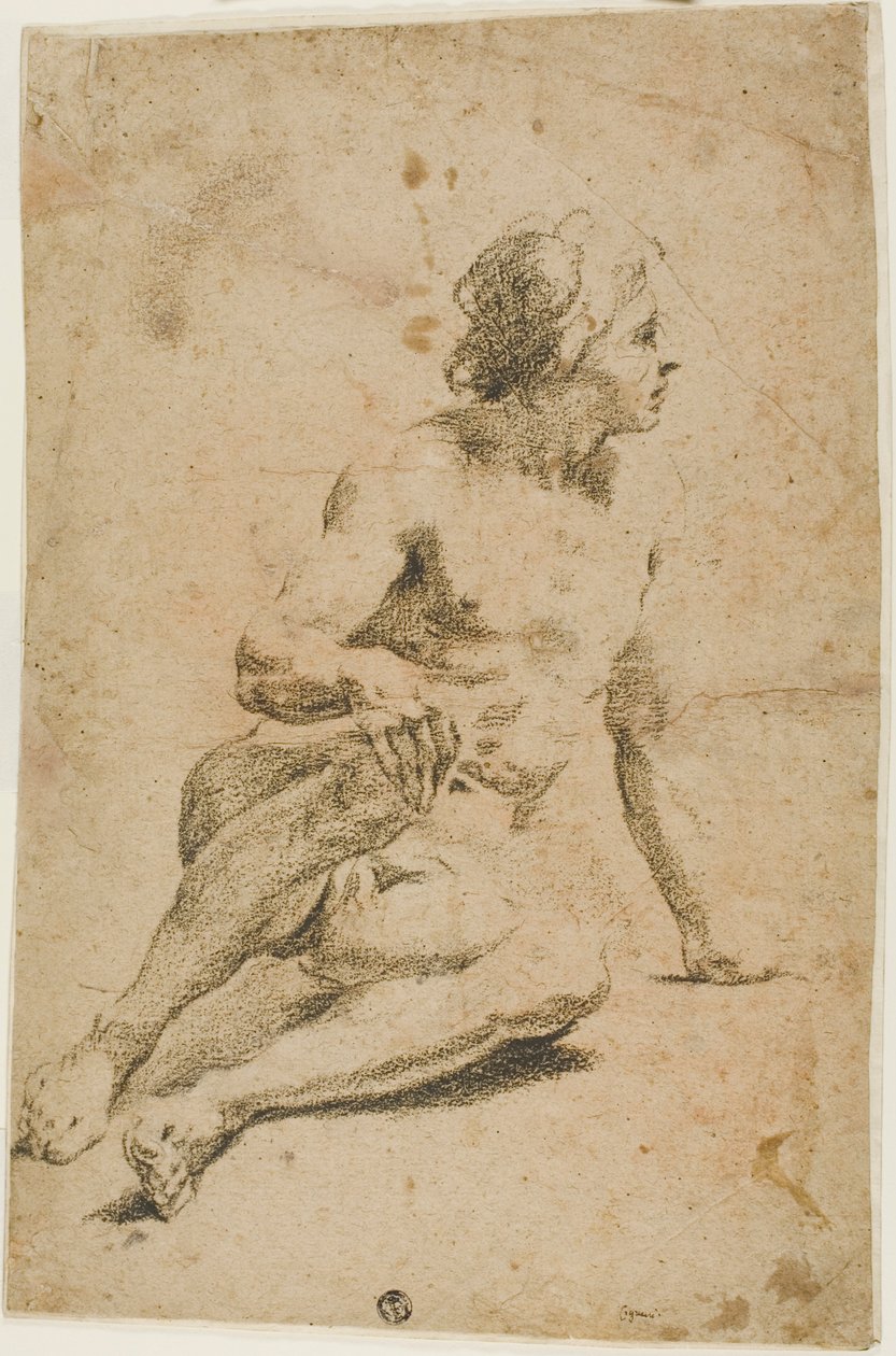 Desnudo masculino sentado de Carlo Cignani
