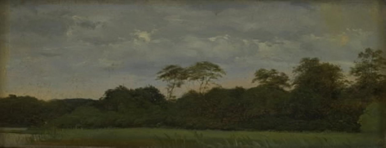 Un prado junto a un lago forestal de Carlo Dalgas