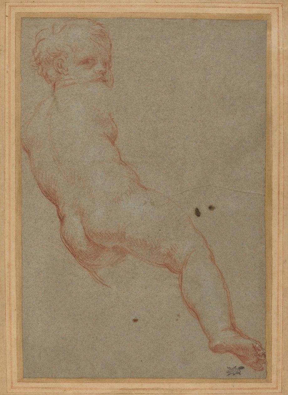 Estudio de un Niño de Carlo Maratta
