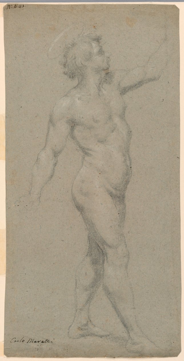 Estudios de un desnudo masculino de Carlo Maratti