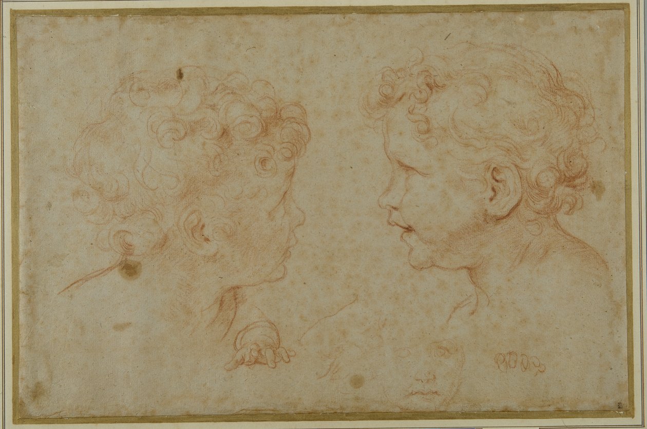Estudios de la cabeza y la mano izquierda de un putto de Carlo Maratti