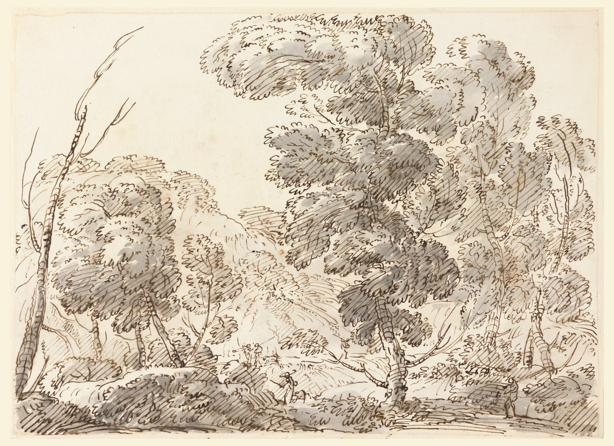 Camino en un país montañoso de Carlo Marchionni