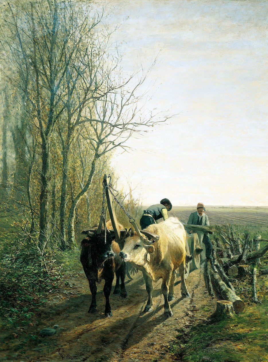 Impuesto anticipado (bueyes enganchados a la carreta) de Carlo Pittara