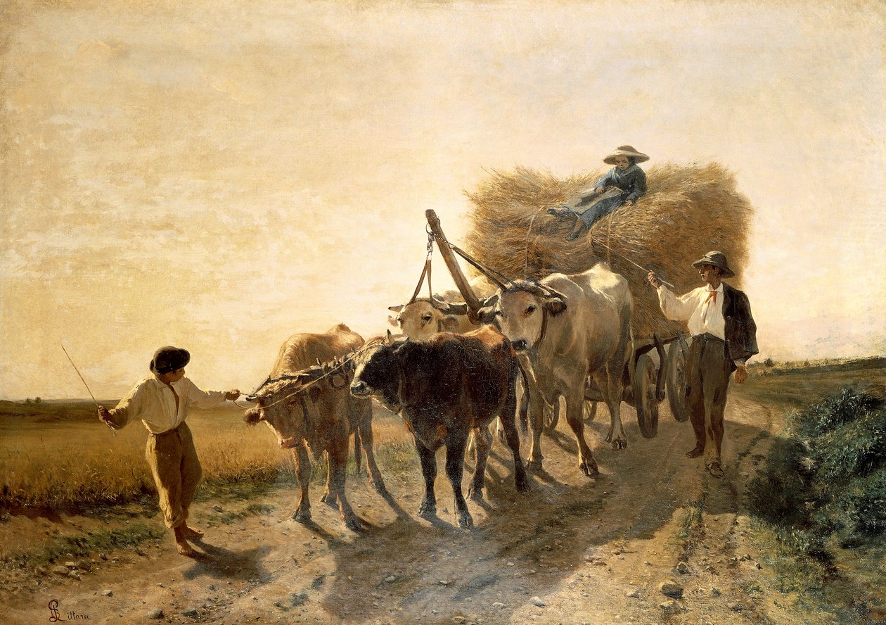 Cosecha, de Carlo Pittara (1836-1890) de Carlo Pittara