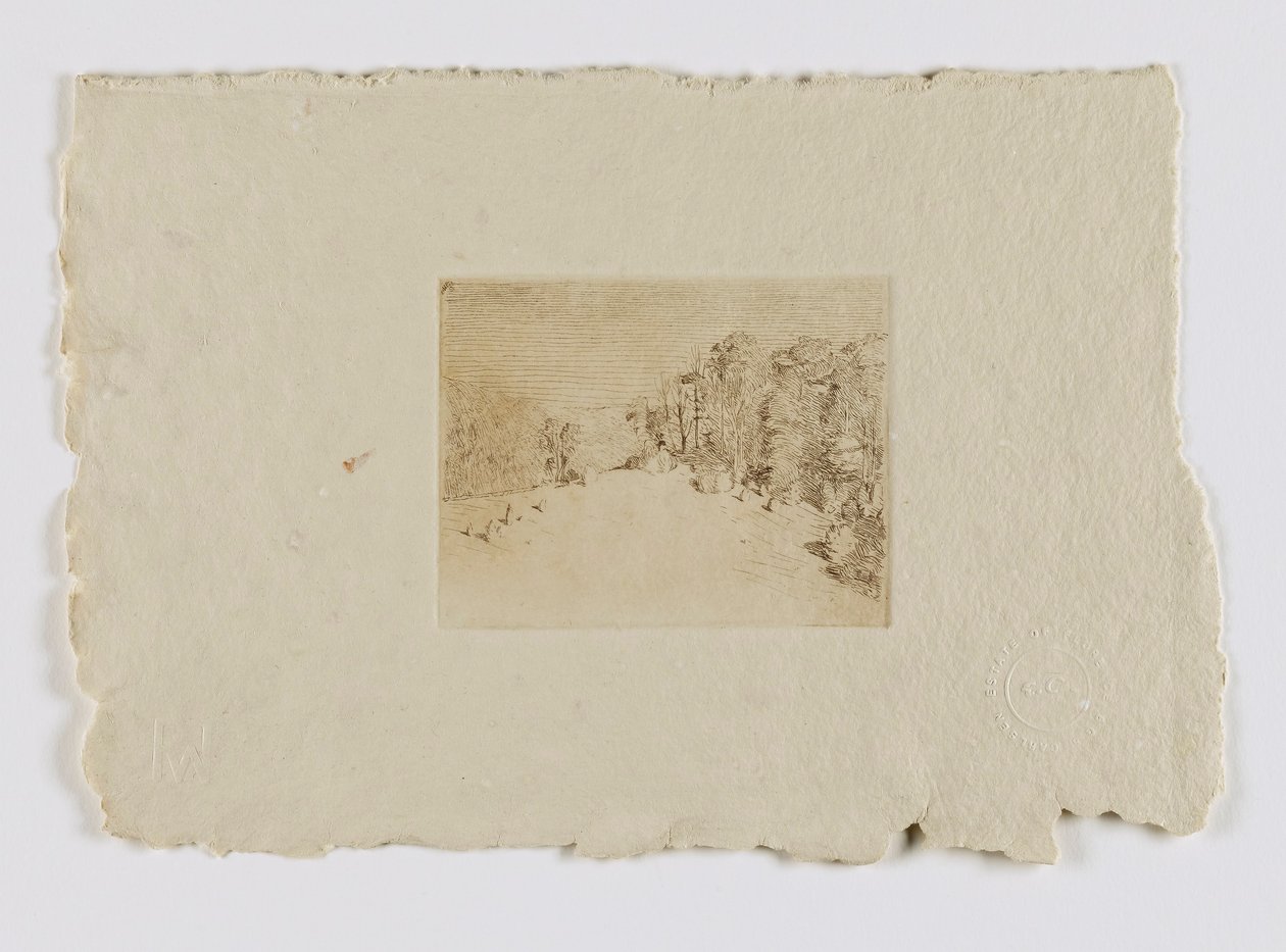 Paisaje de Connecticut (fm. cartera) de Carlsen, Emil