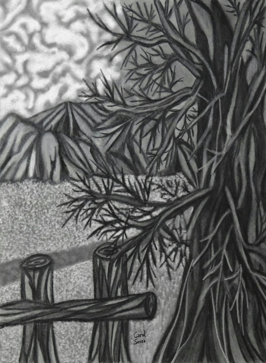 Dibujo al carboncillo digital -2 de Carol Sousa Cuello