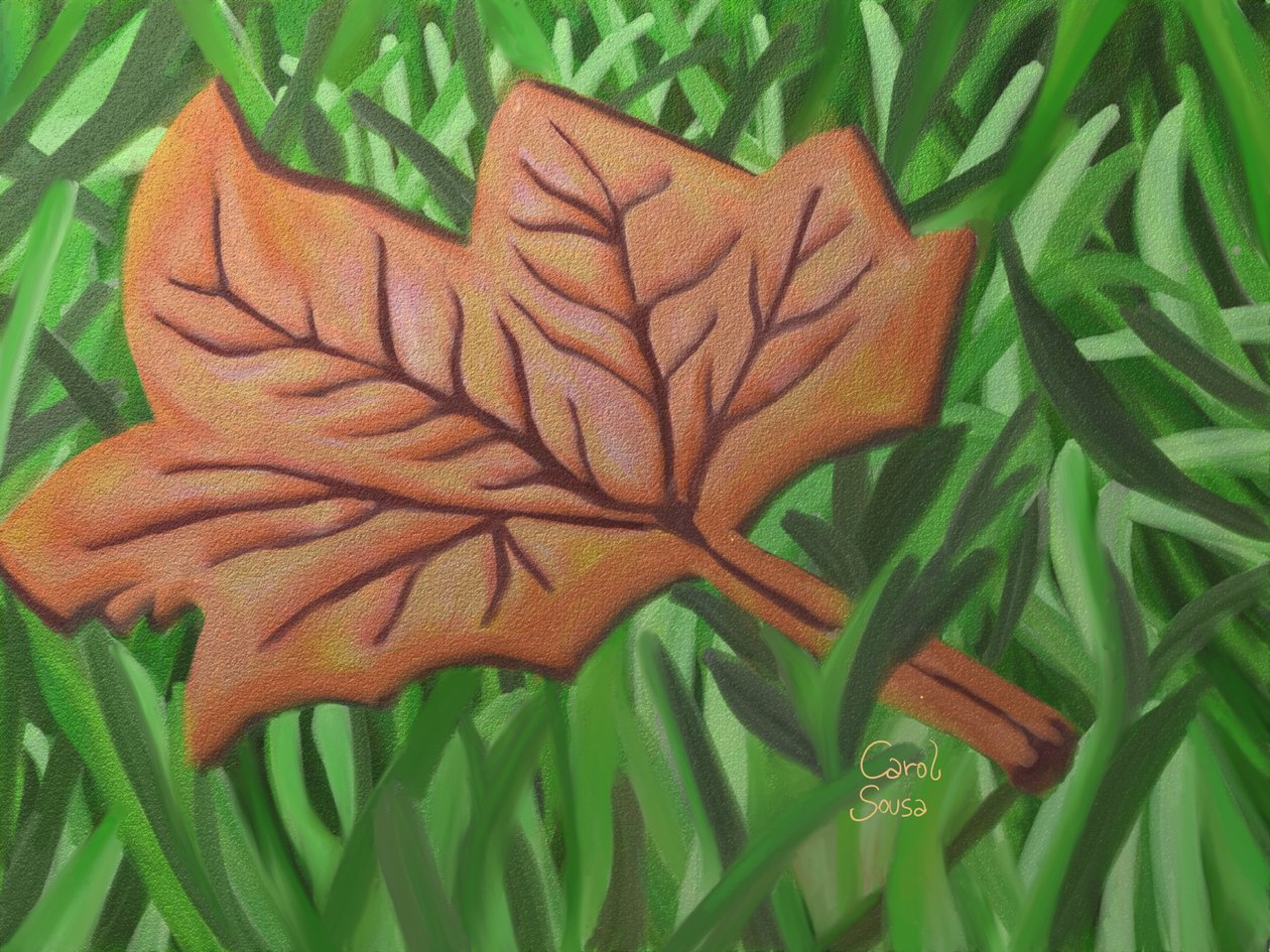 Hoja de otoño de Carol Sousa Cuello