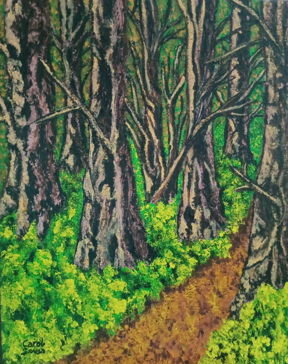 Sendero en el bosque de Carol Sousa Cuello