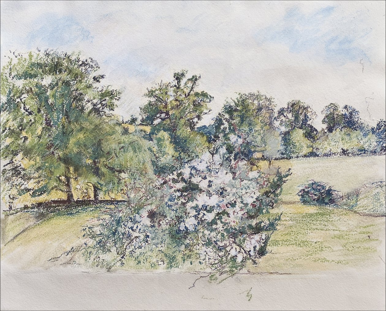 Agosto desde nuestra ventana, 2007 de Caroline Hervey Bathurst