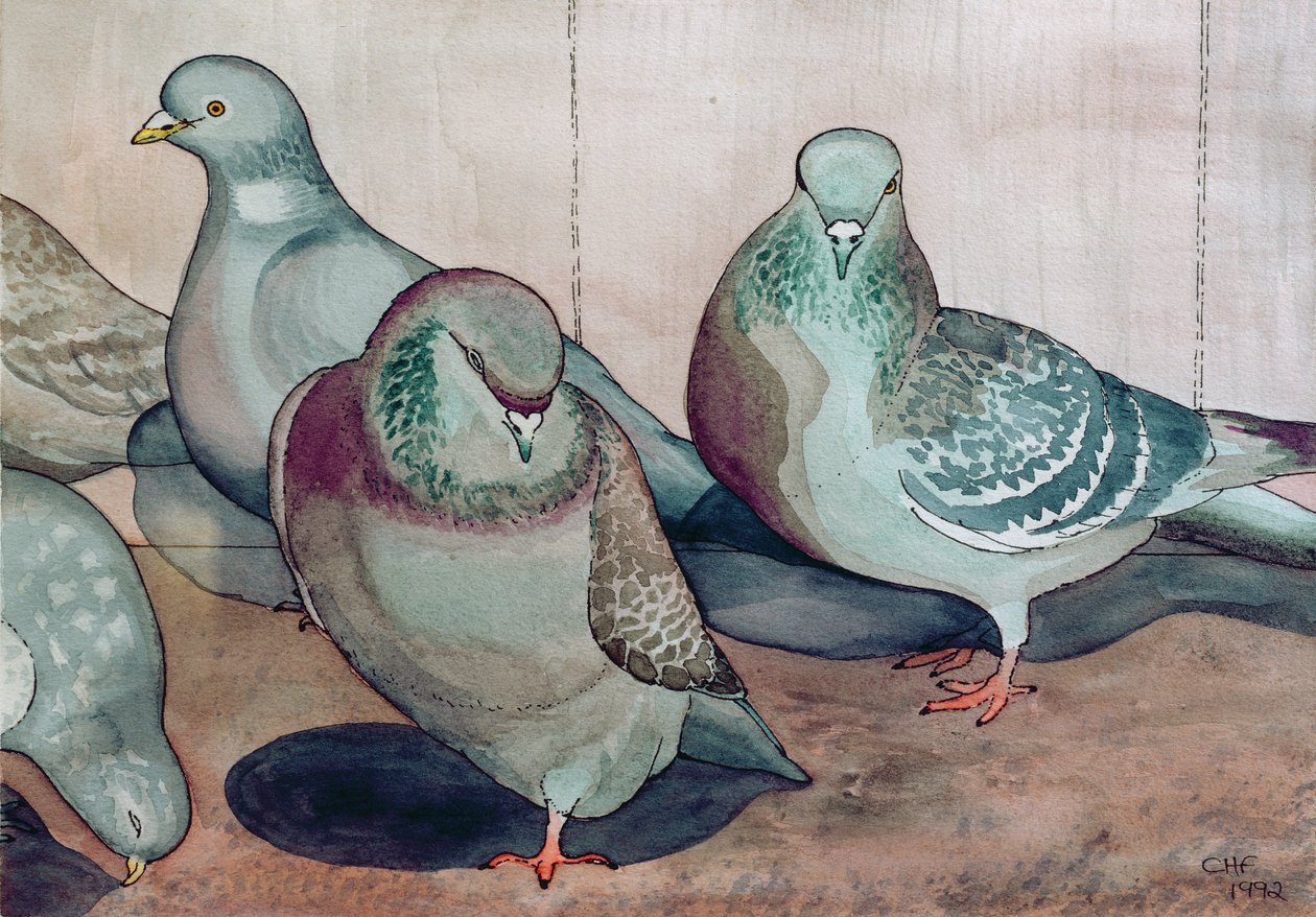 Palomas de Carolyn Hubbard Ford