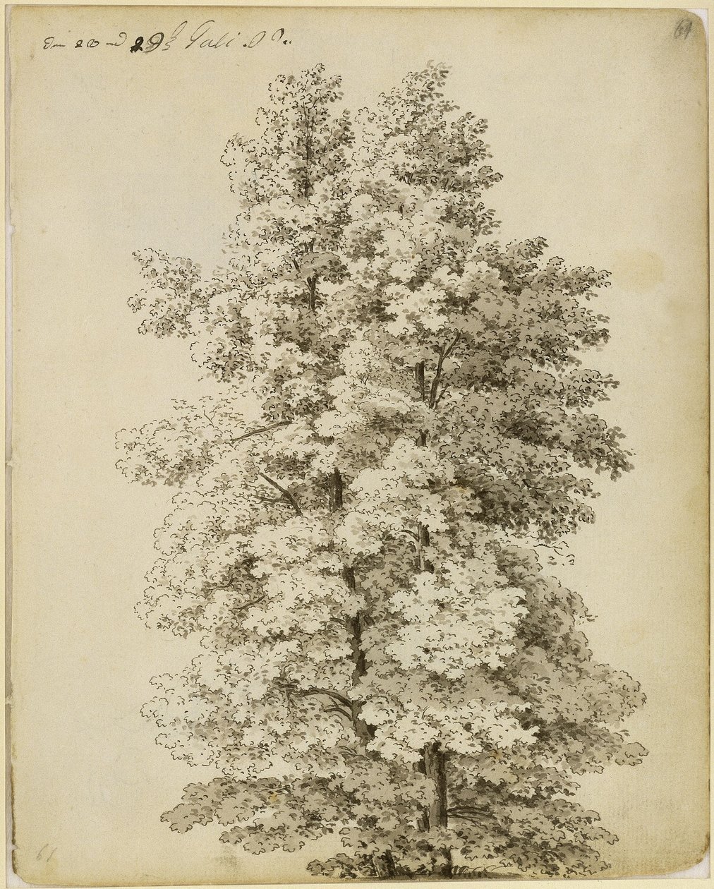 Grupo de árboles de Caspar David Friedrich