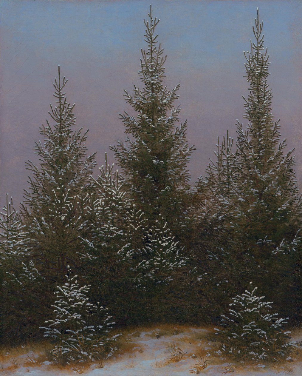 Matorral de abetos en la nieve (De la landa de Dresde I) de Caspar David Friedrich