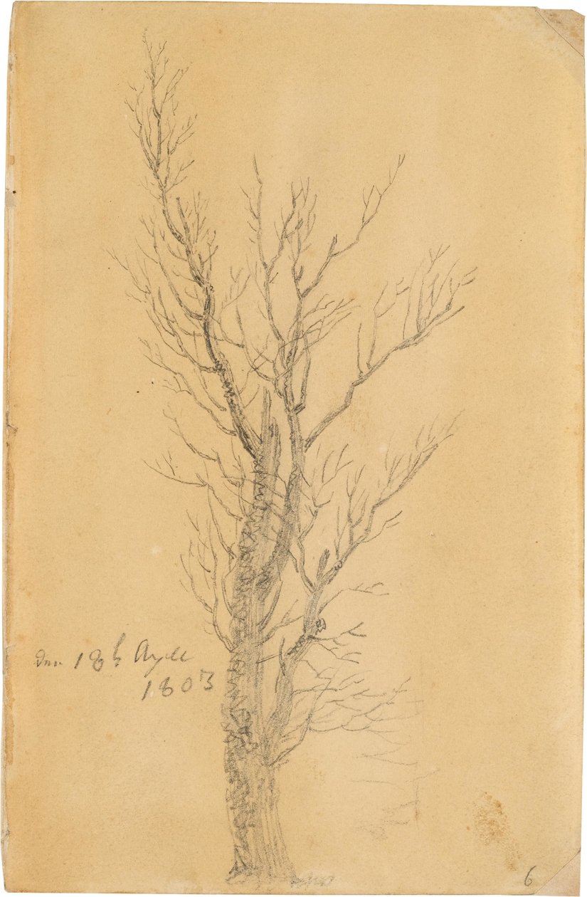 Alemán: Baumstudie Estudio de un árbol de Caspar David Friedrich