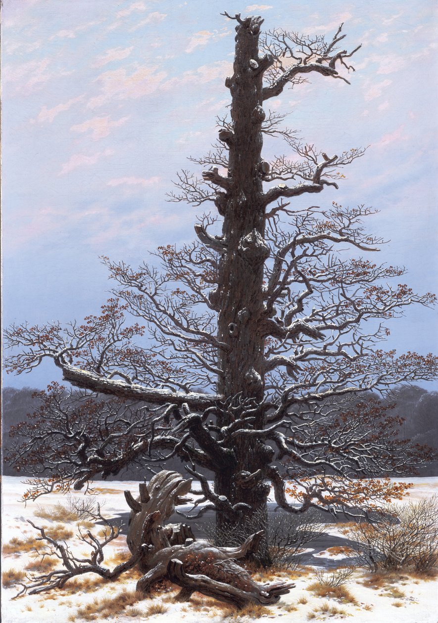 Alemán: Eichbaum im Schnee El roble en la nieve de Caspar David Friedrich