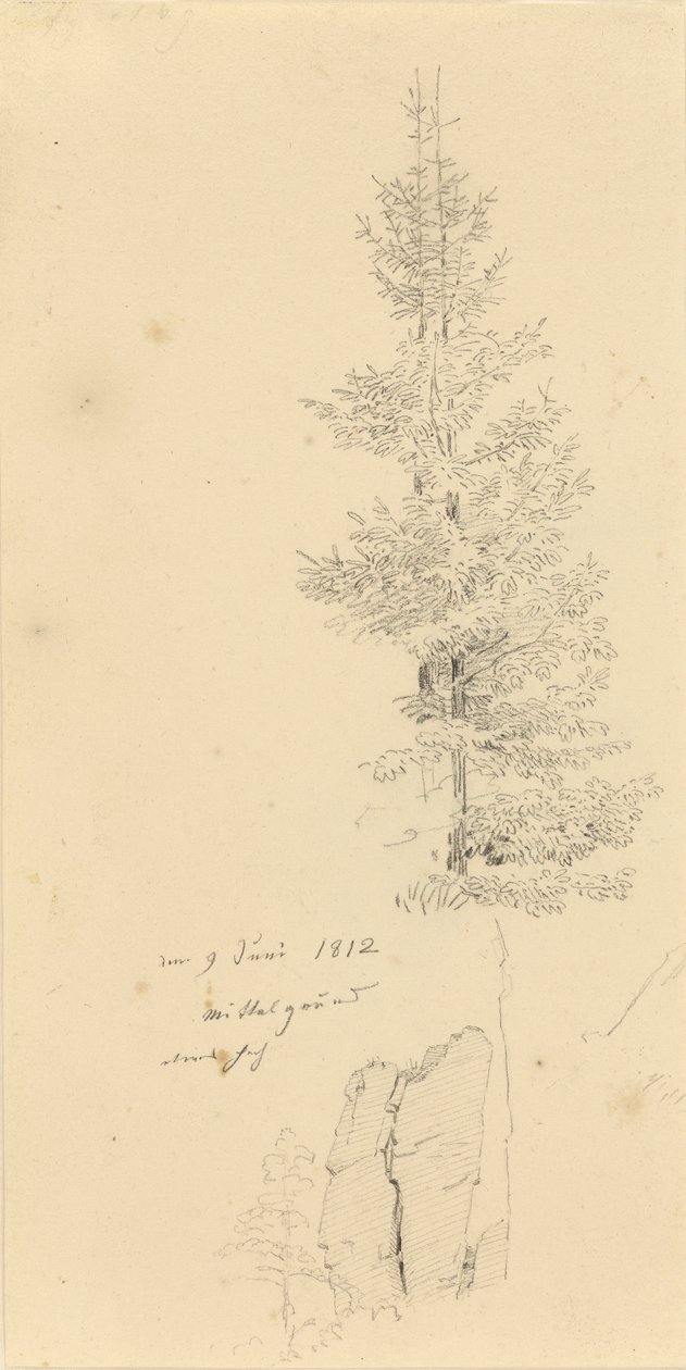 Alemán: Studie mit Fichten und Felsen Estudio de abetos y una roca de Caspar David Friedrich