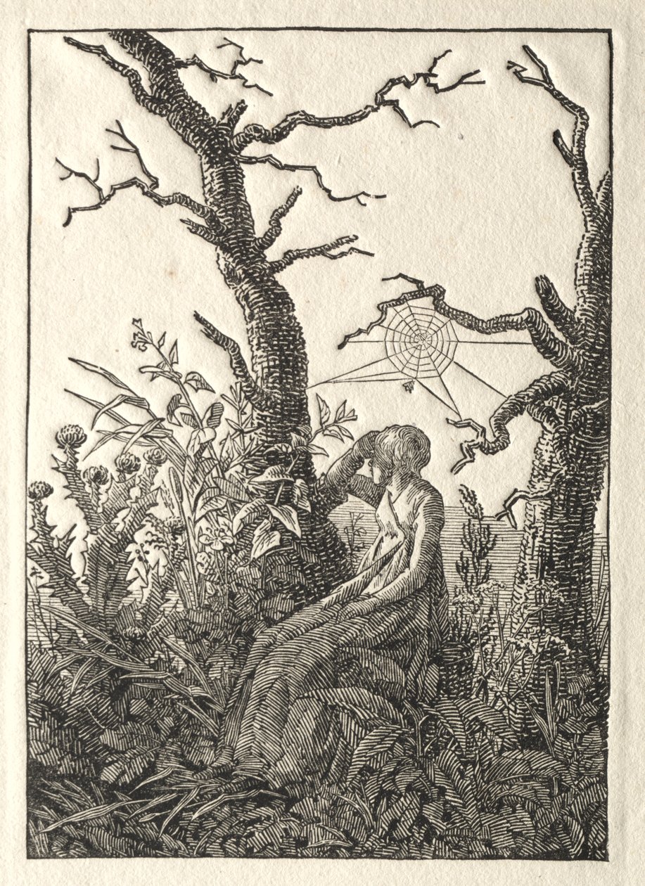 The Woman with the Spider Web between Bare Trees de Caspar David Friedrich