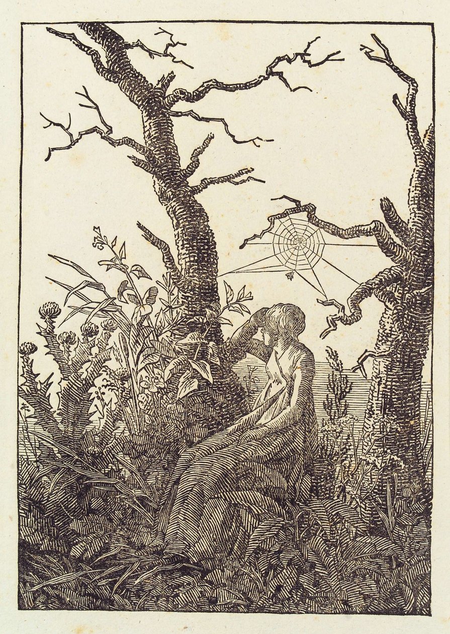 La mujer de la tela de araña de Caspar David Friedrich