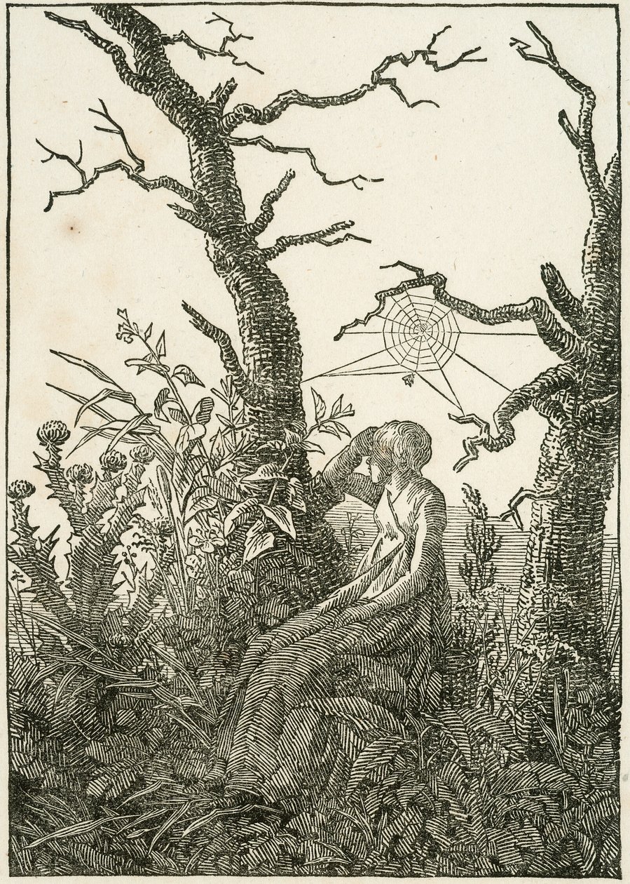 Mujer con tela de araña entre árboles desnudos de Caspar David Friedrich