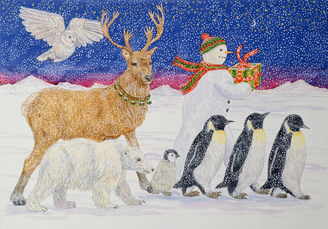 Un regalo para Santa de Catherine Bradbury