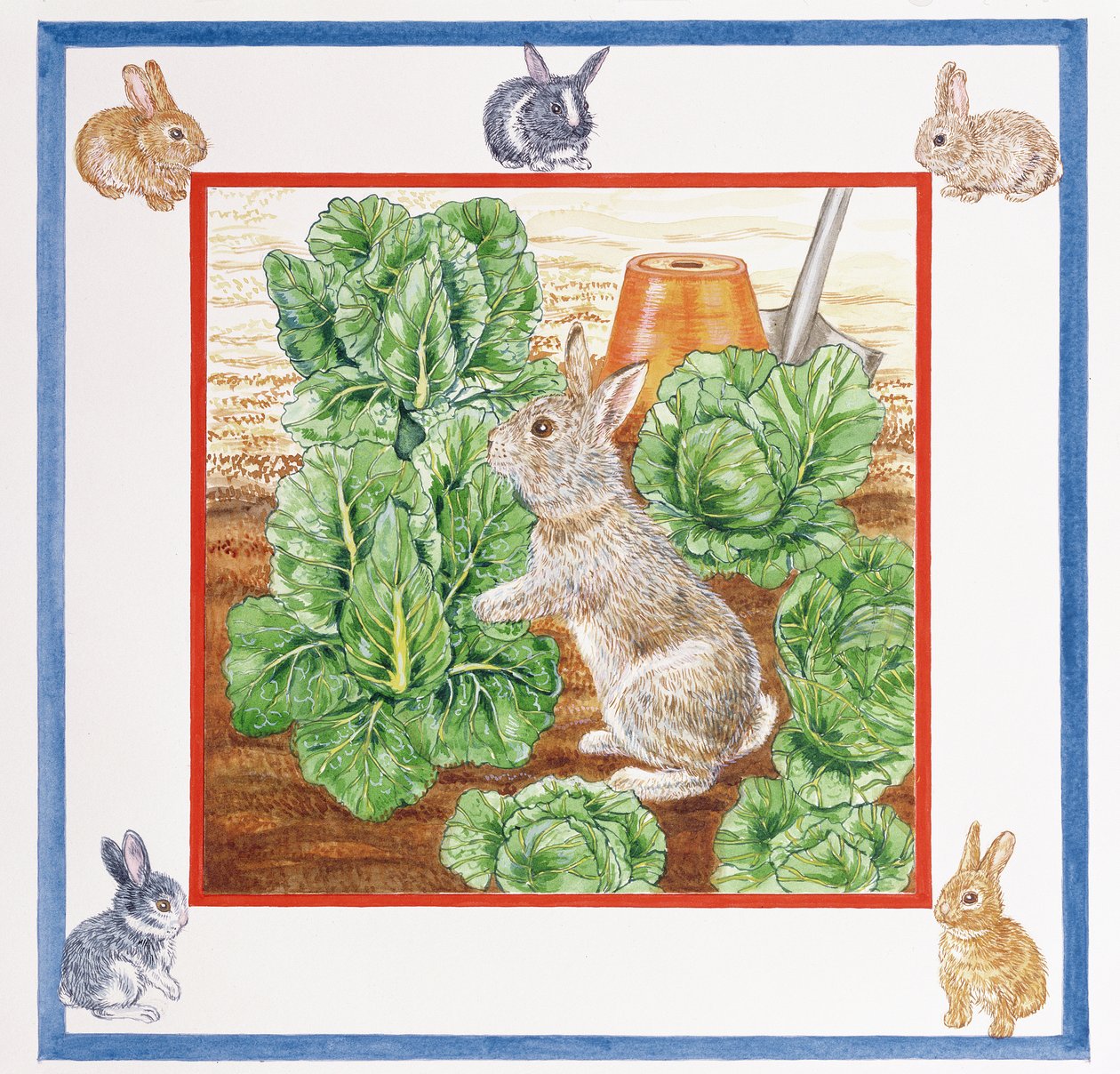 Un conejo en el campo de coles de Catherine Bradbury