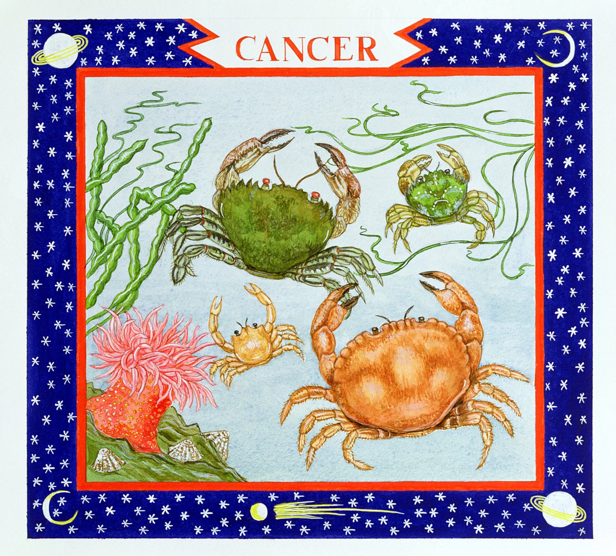 Cáncer de Catherine Bradbury