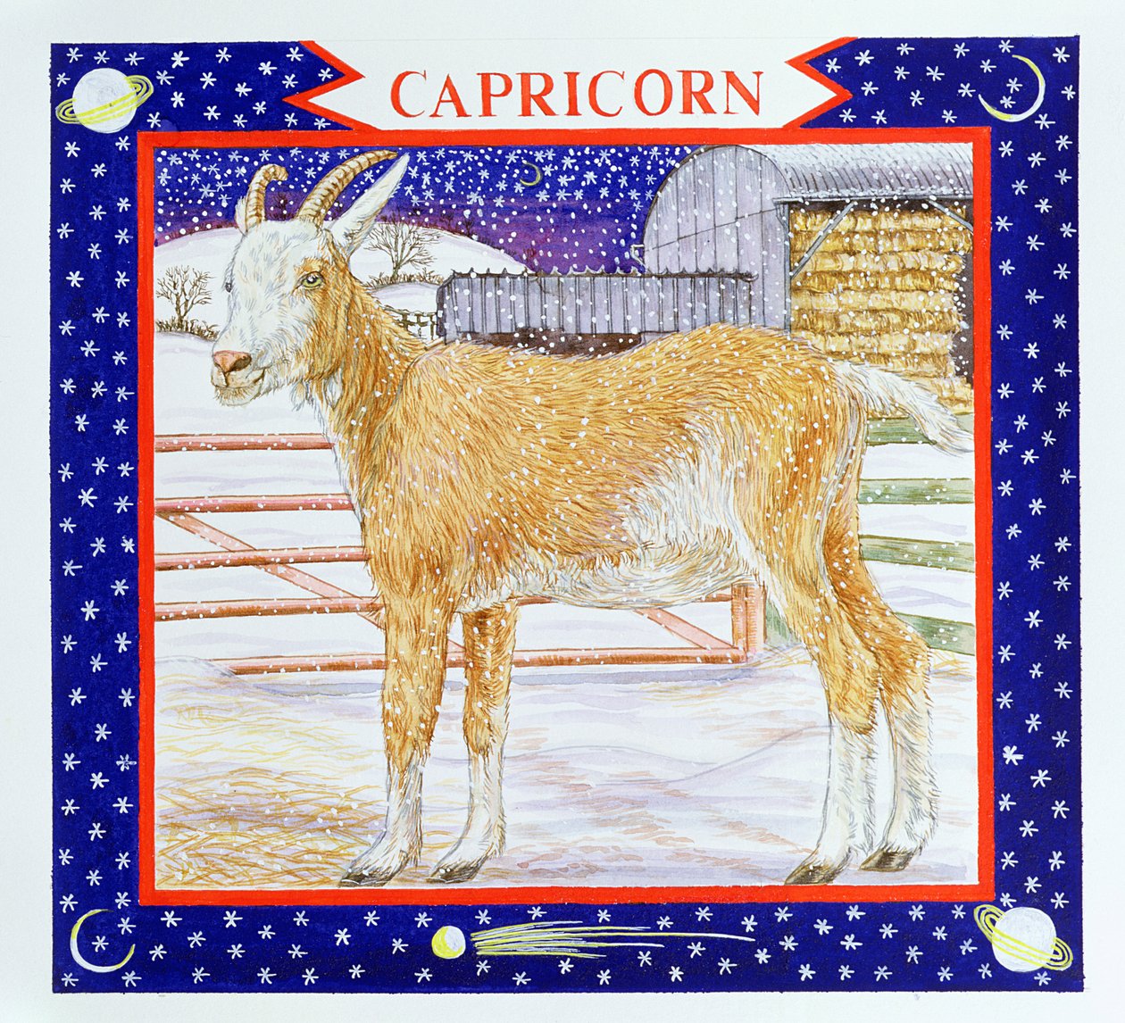 Capricornio de Catherine Bradbury