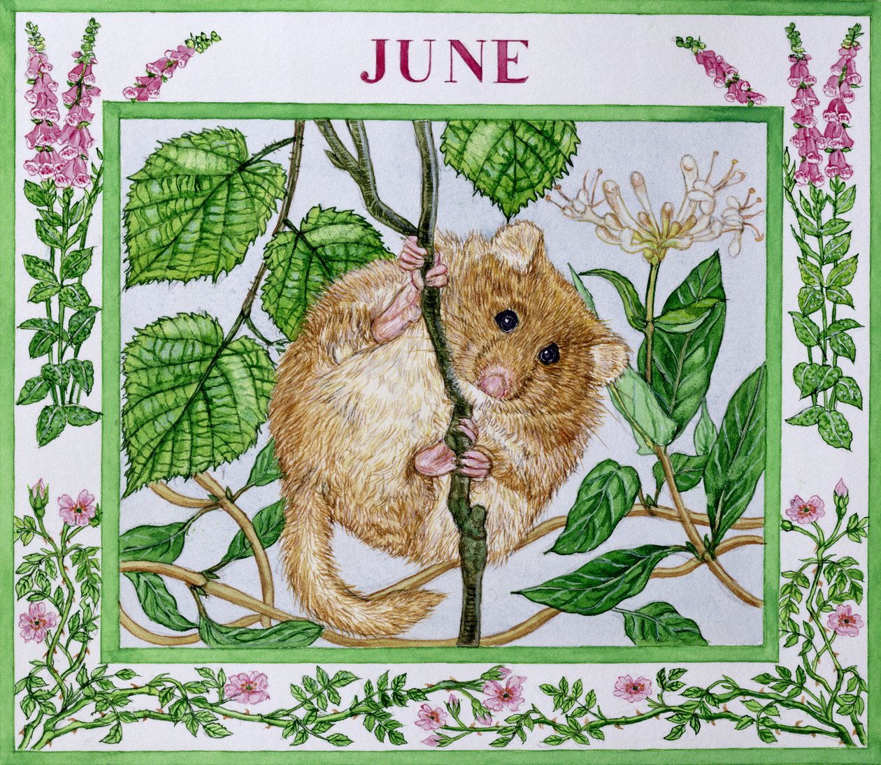 Junio de Catherine Bradbury