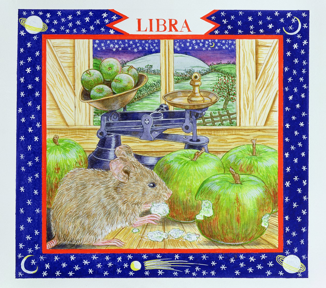 Libra de Catherine Bradbury