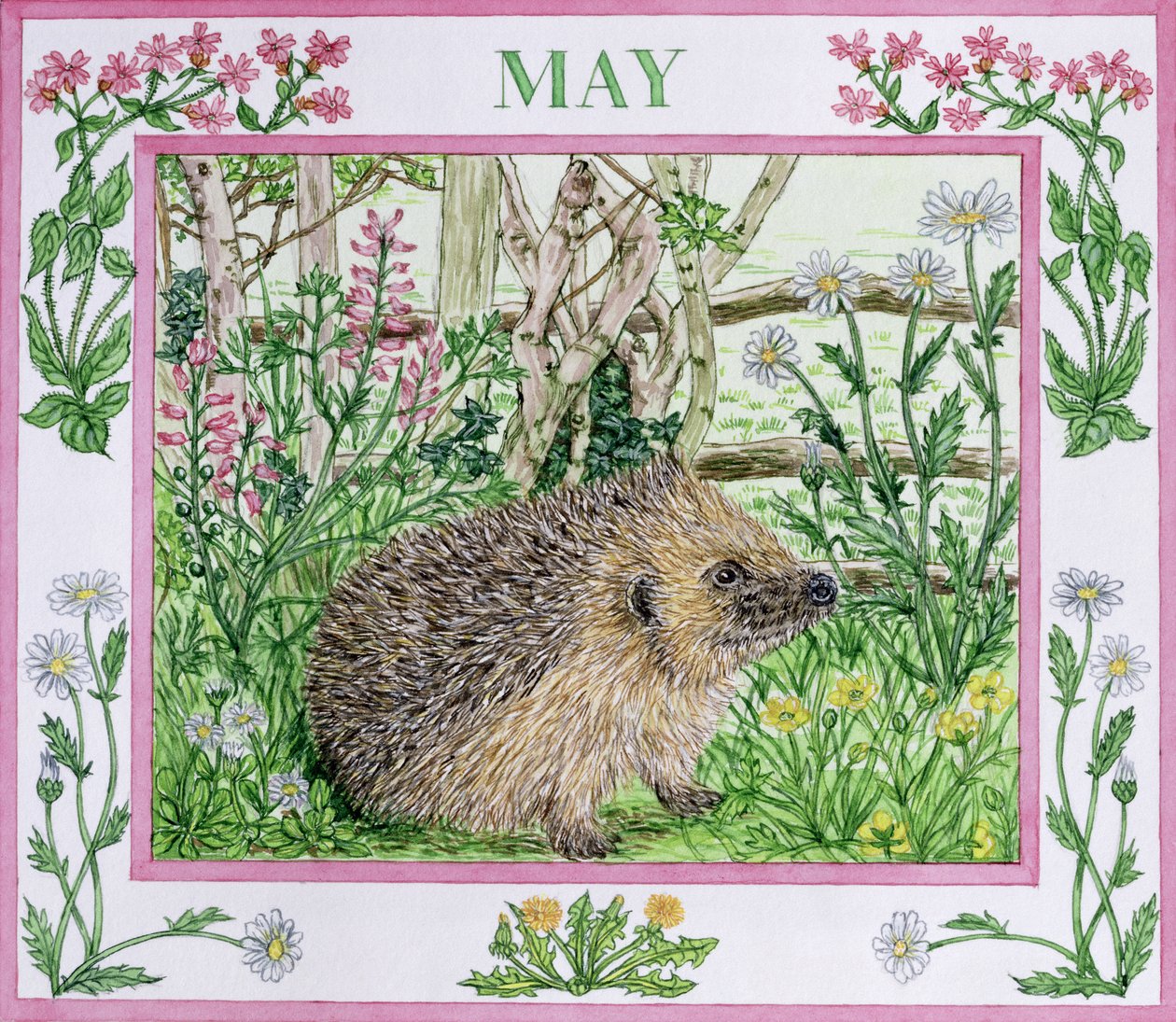 Mayo de Catherine Bradbury