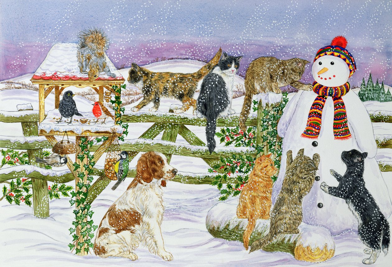 El muñeco de nieve y sus amigos de Catherine Bradbury