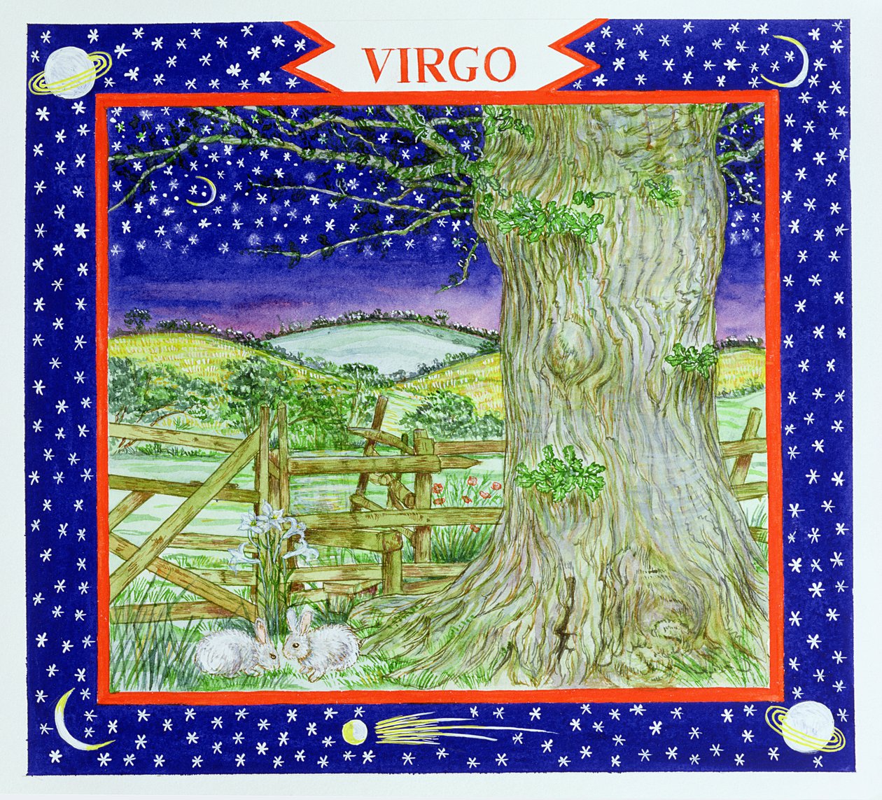 Virgo de Catherine Bradbury