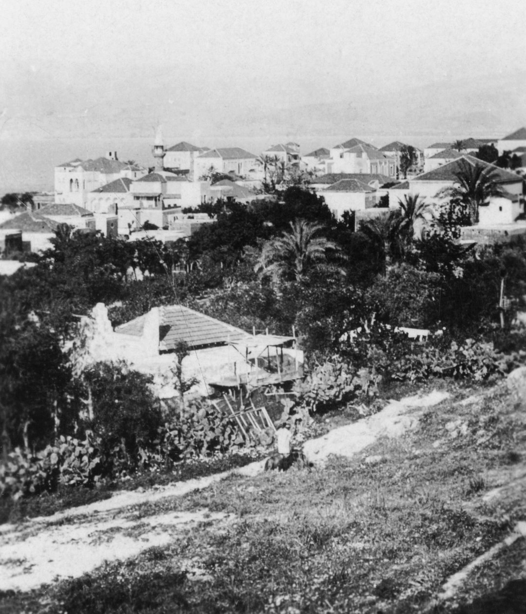 Beirut desde el Colegio Americano, Líbano, c1927-c1931 de Cavanders Ltd