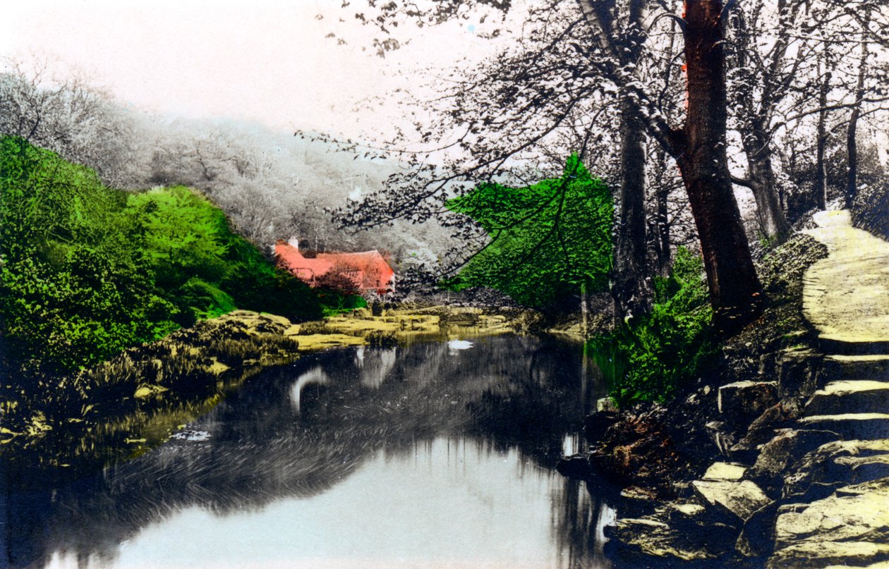 Jesmond Dene, Newcastle-upon-Tyne, Tyne & Wear, 1926 de Cavenders Ltd