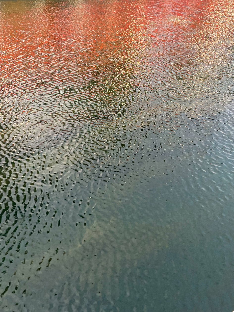 Composición - Reflejos, 2022 (foto) de Cécile Jamet