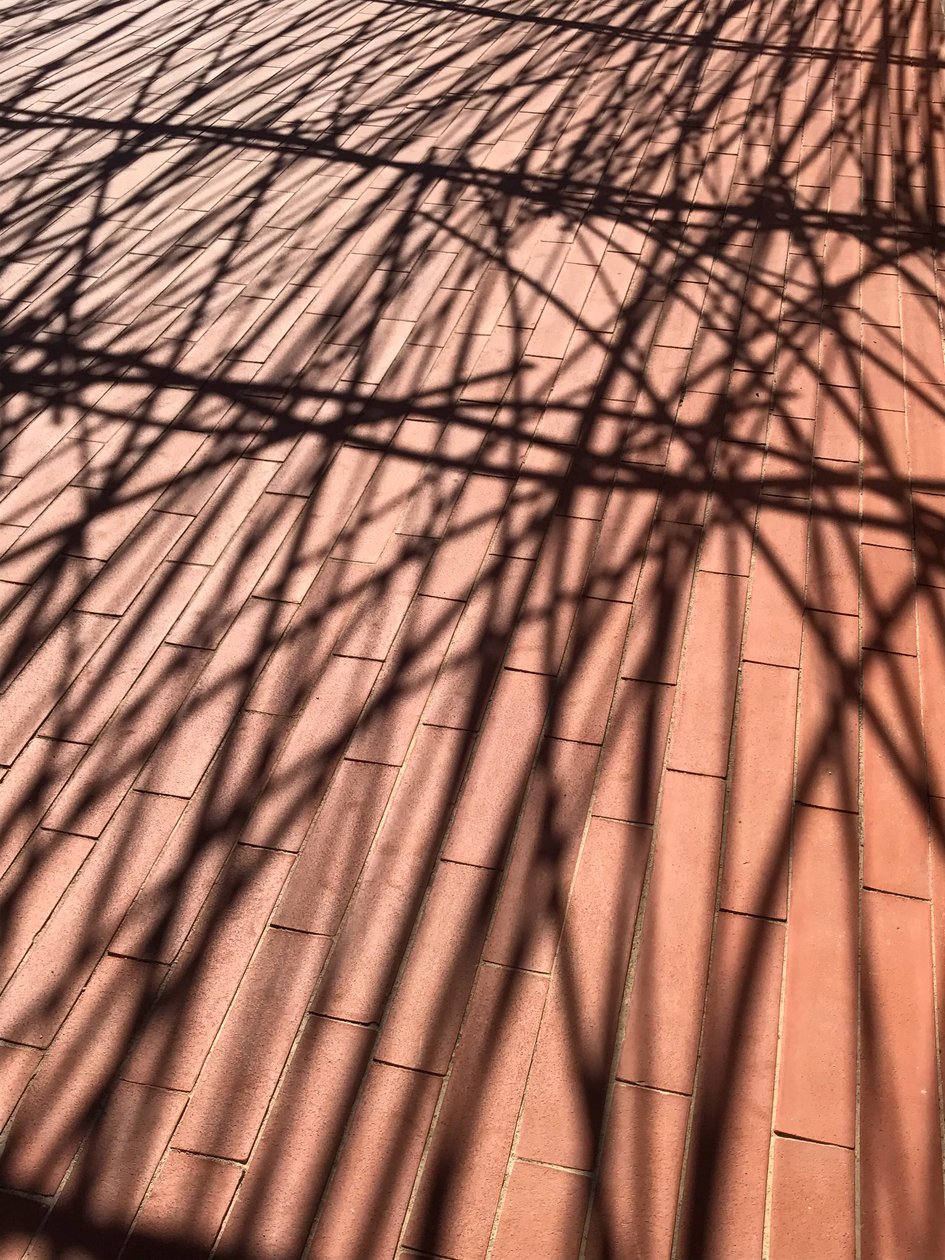 Composición - Sombras, 2021 (foto) de Cécile Jamet