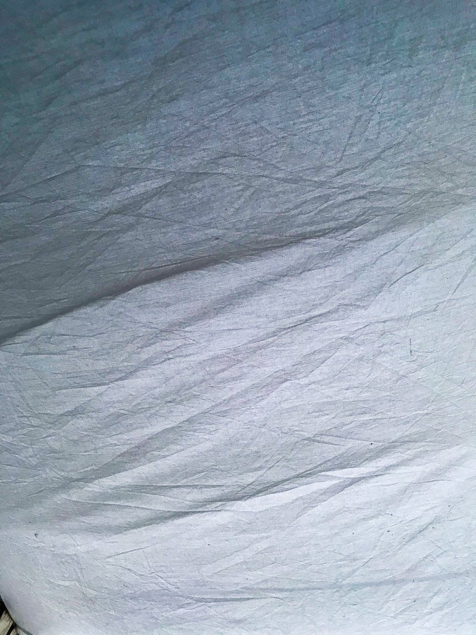 Composición - Carpa, 2019 (foto) de Cécile Jamet