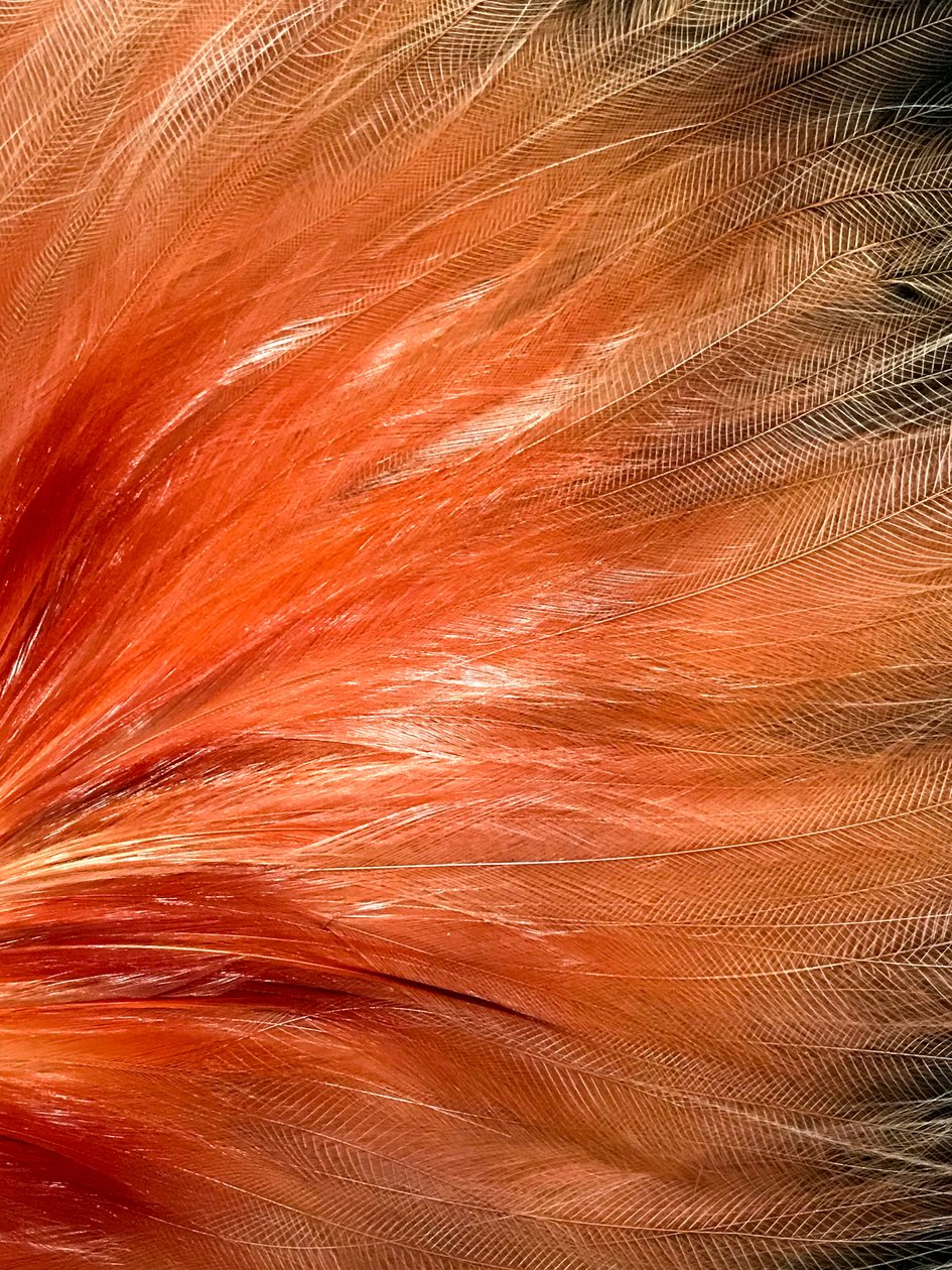 Composición - Textura, 2019 (foto) de Cécile Jamet