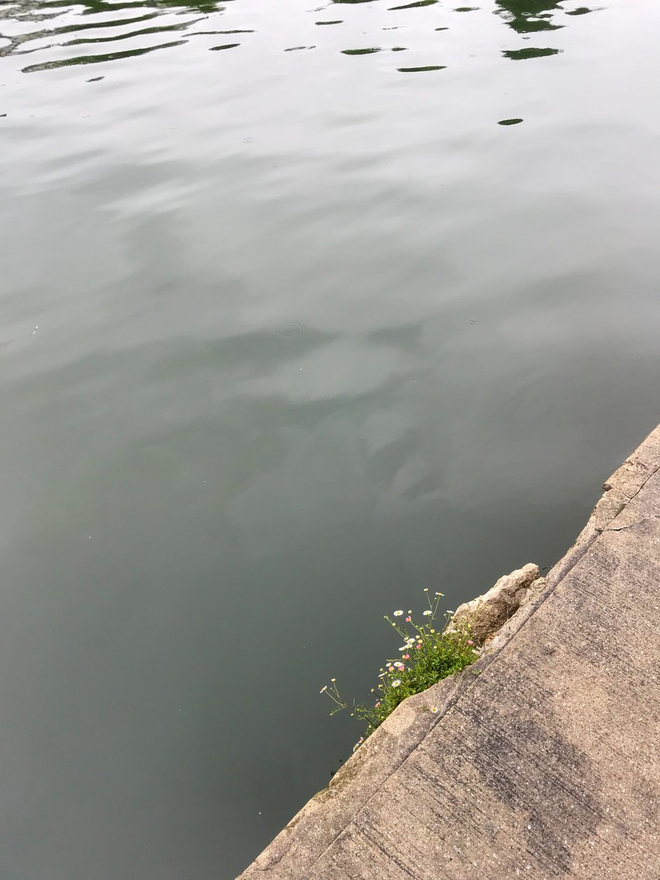 Composición, 2019 (foto) de Cécile Jamet