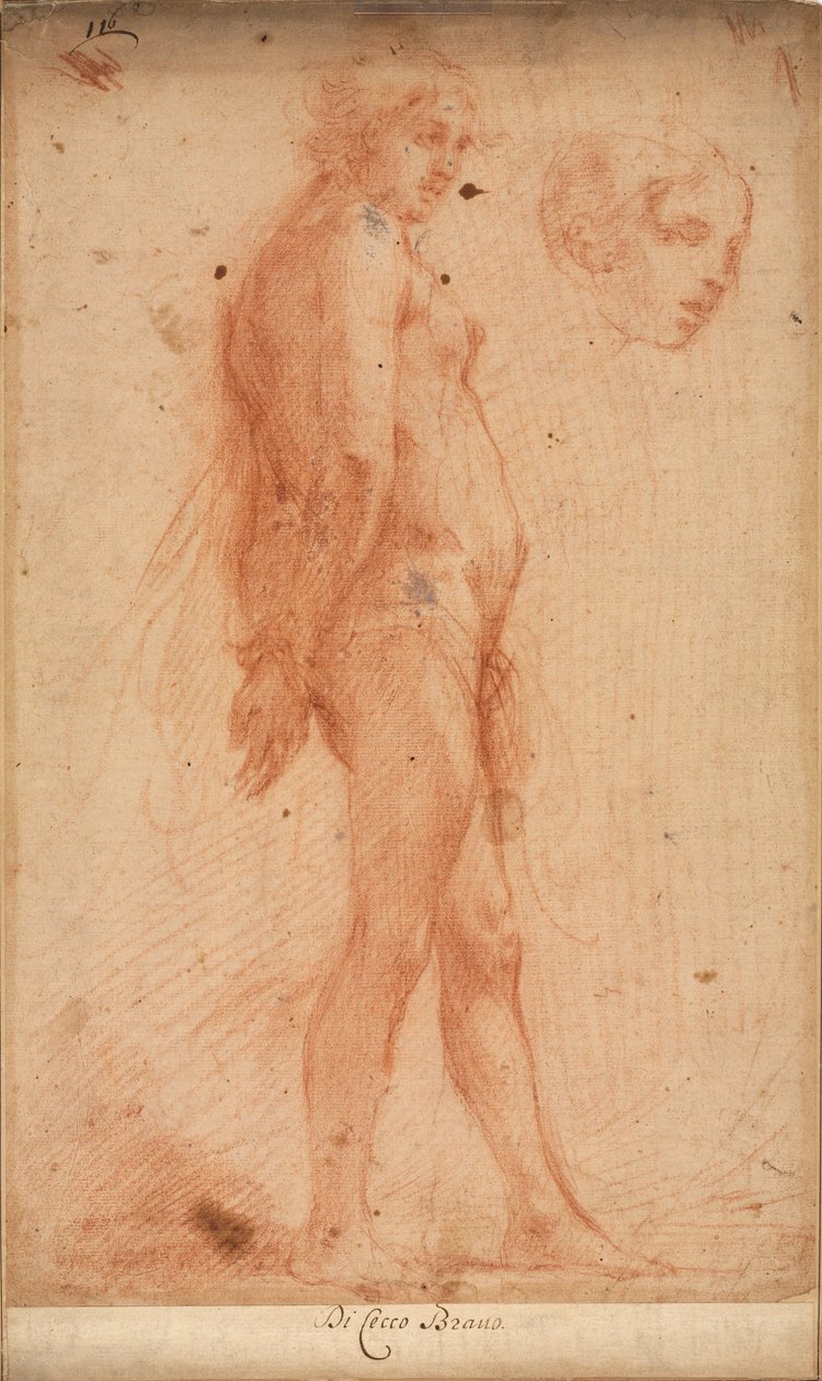 Estudio de un desnudo masculino de pie, con un estudio de la cabeza de perfil de tres cuartos de Cecco Bravo