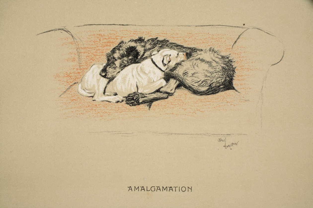 Amalgamación, 1930, 1ª Edición de 