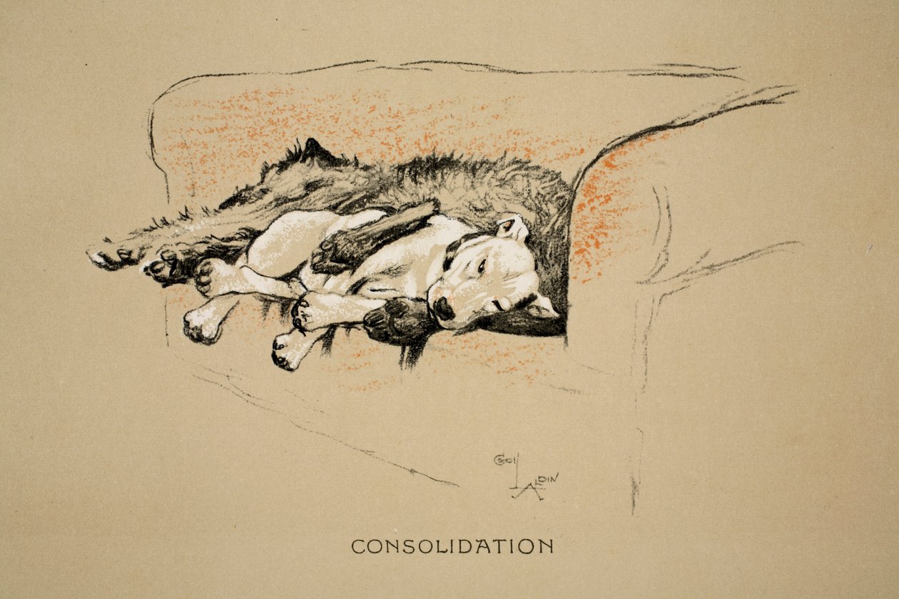 Consuelo, 1930, 1ª Edición de 