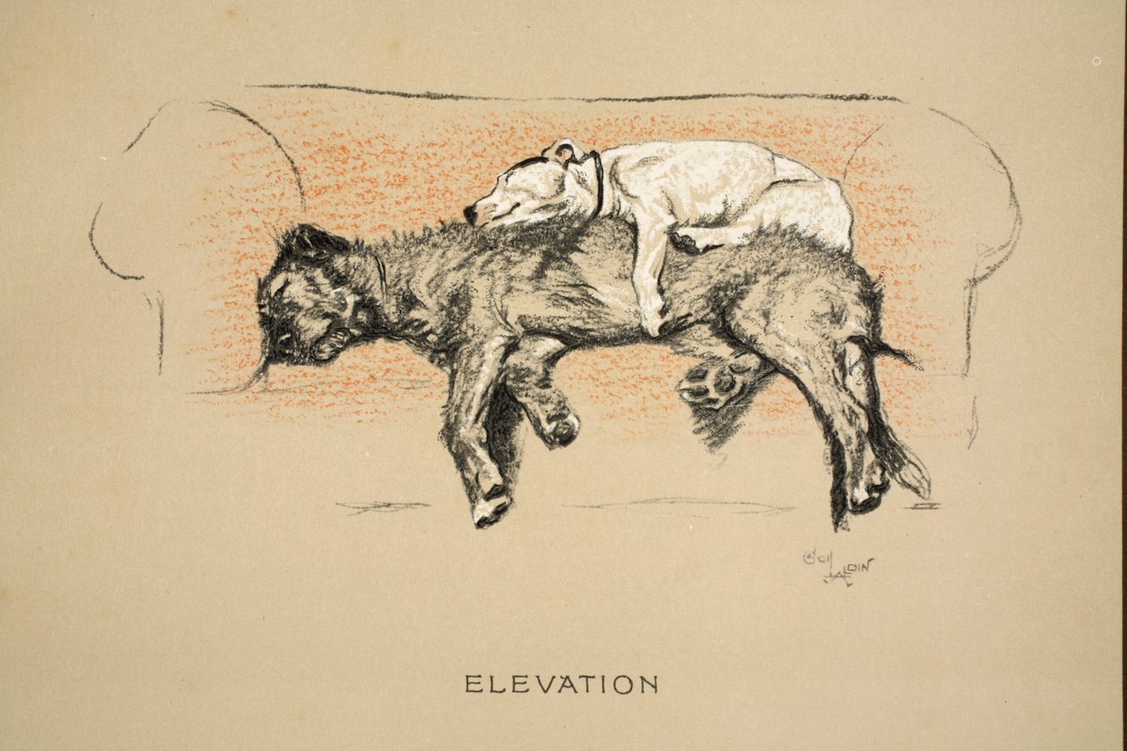 Elevación, 1930, 1ª Edición de 