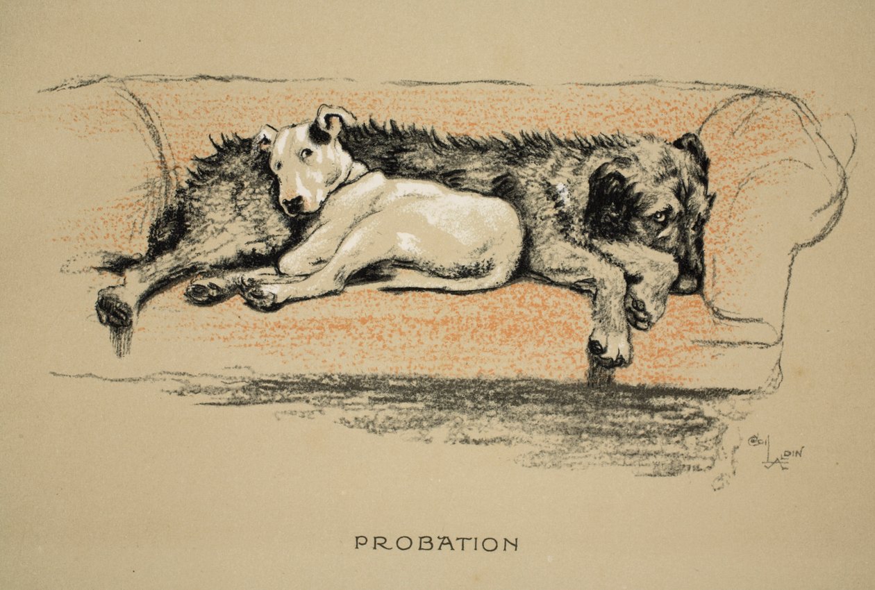 Probación, 1930, 1ª Edición de 