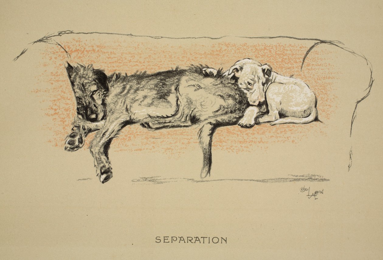 Separación, 1930, 1ª edición de 