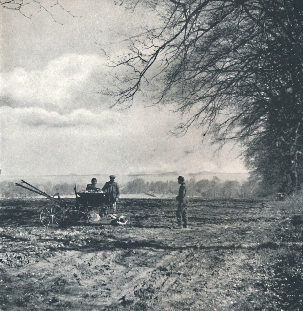 Lejos al campo y al surco, 1941 de Cecil Beaton