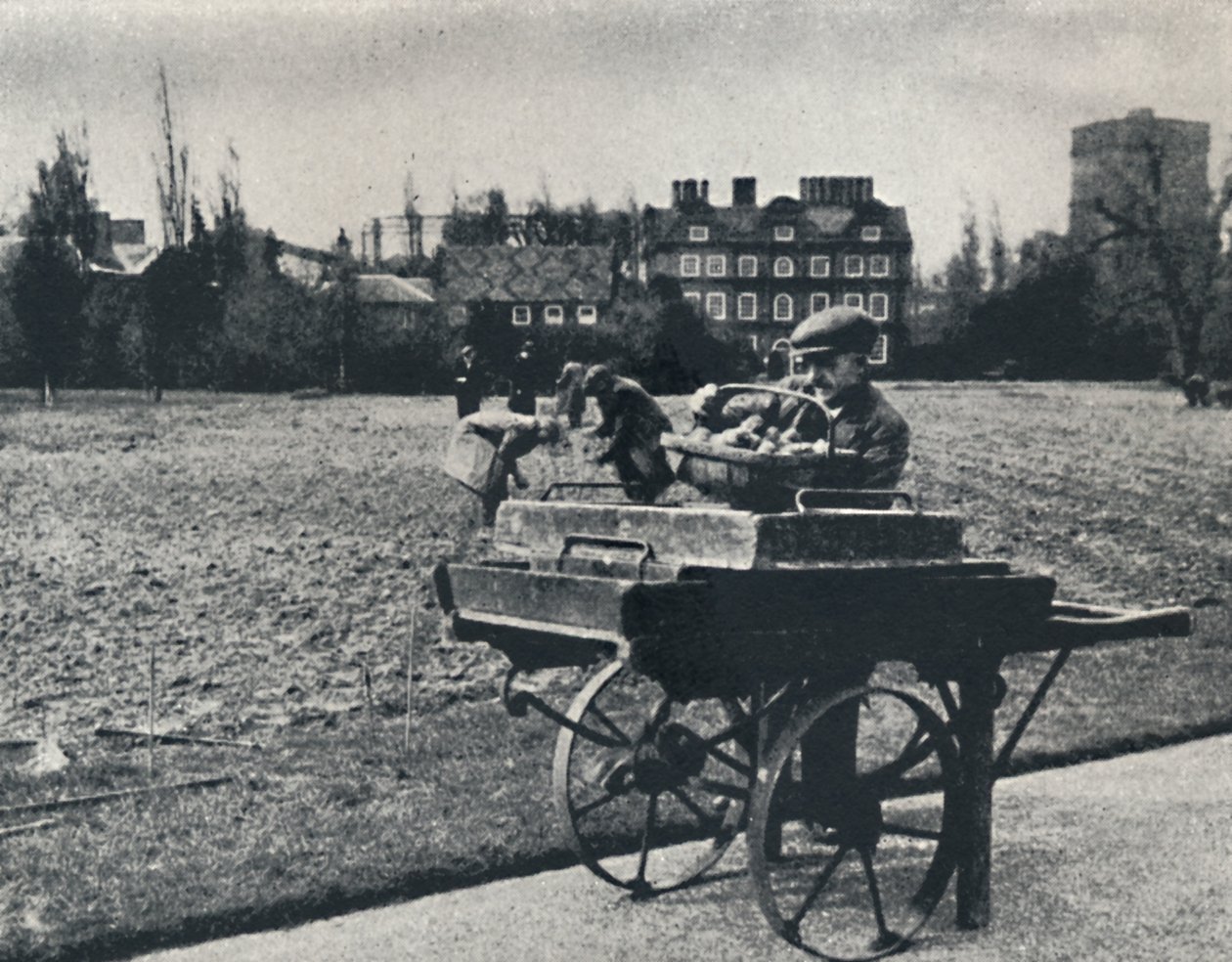 Patatas en Kew Gardens, 1941 de Cecil Beaton
