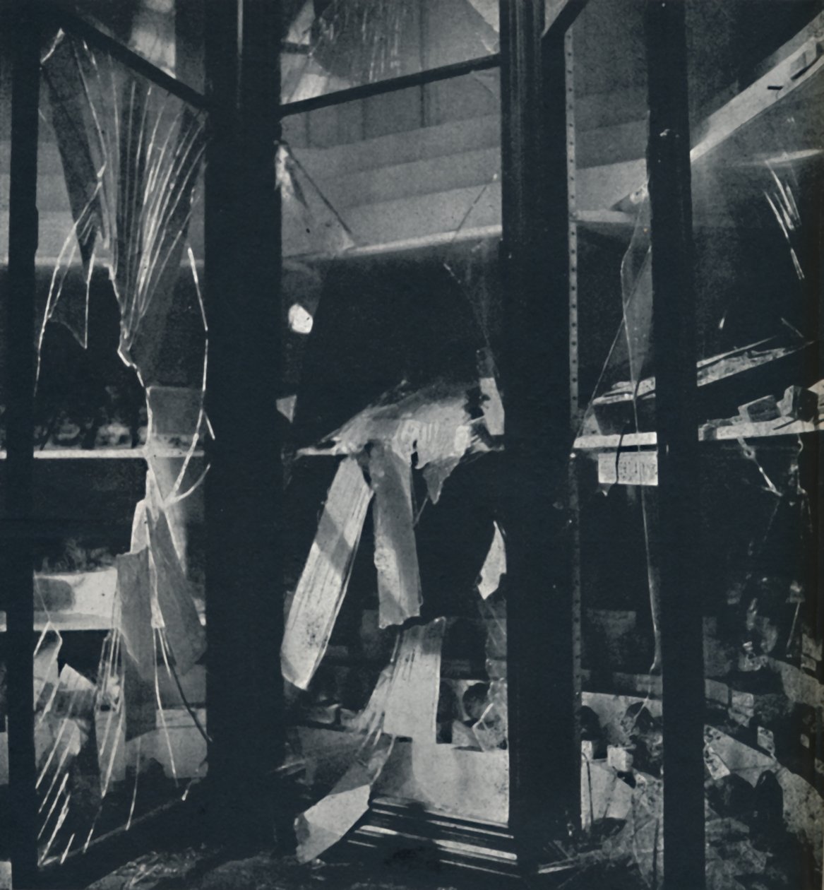 Vitrinas en el Museo de Historia Natural, 1941 de Cecil Beaton